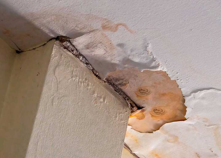 Water-Damage-Mold-Removal-scaled-1 water damage restoration services Bradenton